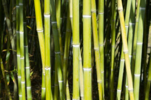 bamboo promotional items